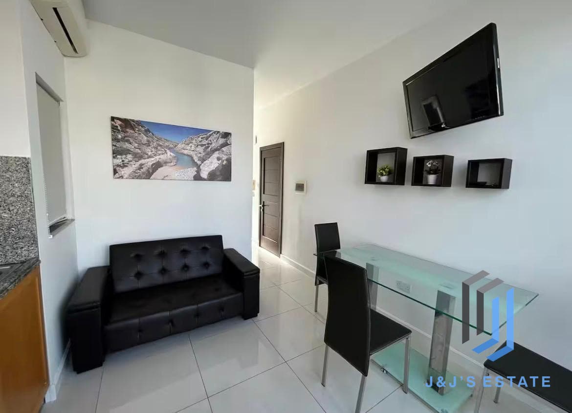 Spacious Gzira 1 Bedroom Penthouse for Rent · 6