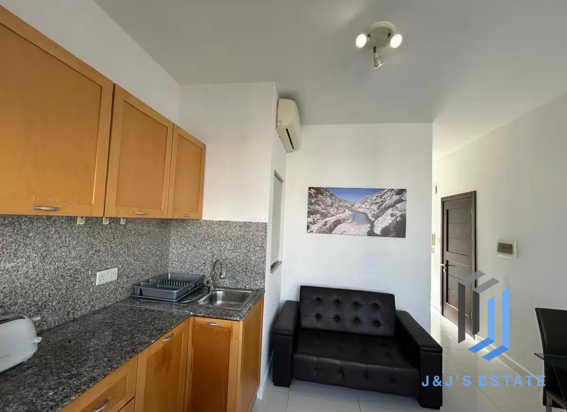 Spacious Gzira 1 Bedroom Penthouse for Rent · 10
