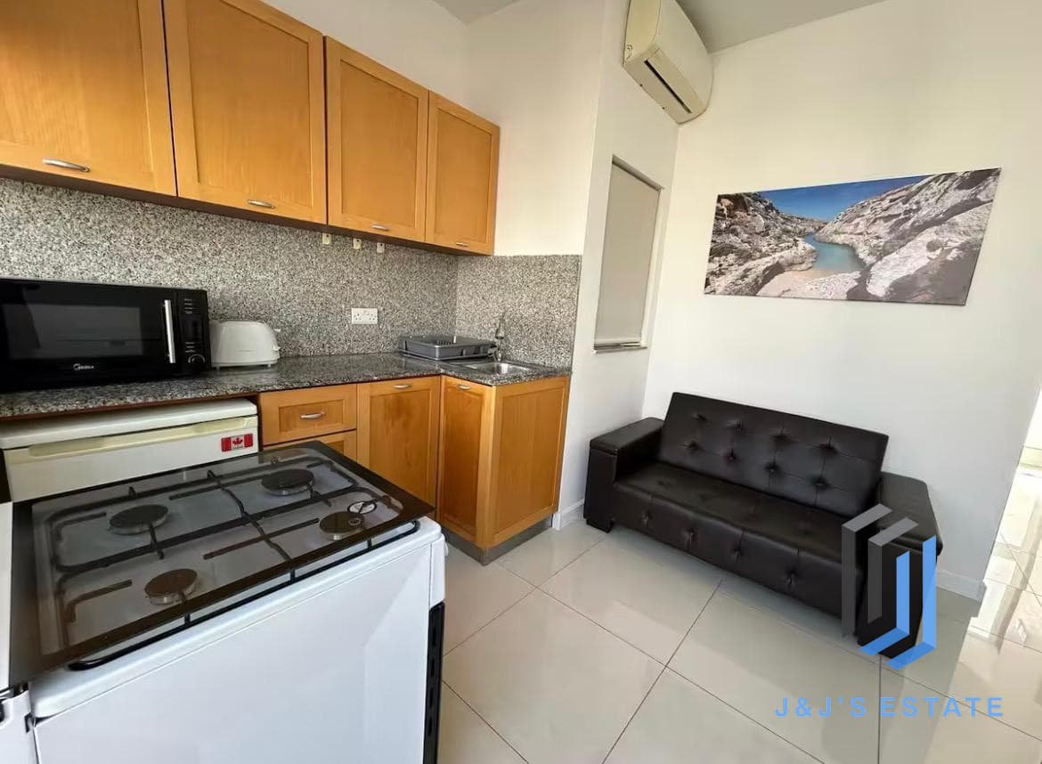 Spacious Gzira 1 Bedroom Penthouse for Rent · 7