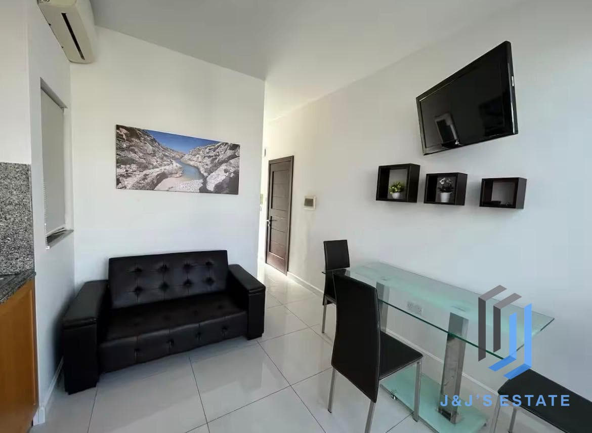 Spacious Gzira 1 Bedroom Penthouse for Rent · 17